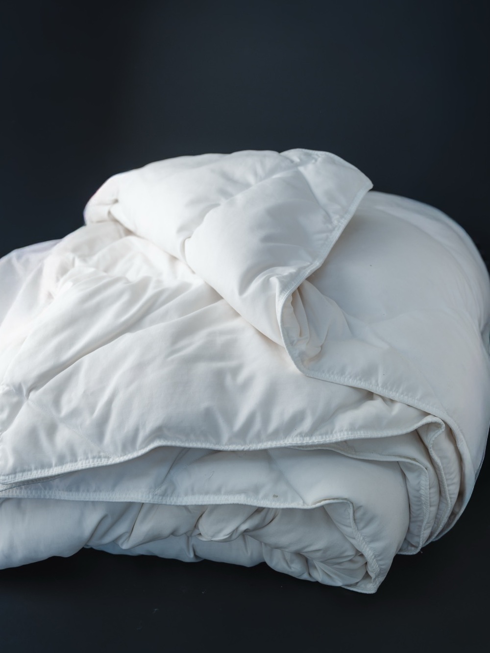 Luxury White Down Alternative Comforter / Duvet insert